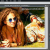 Pixlr, editor de imágenes online de gran calidad